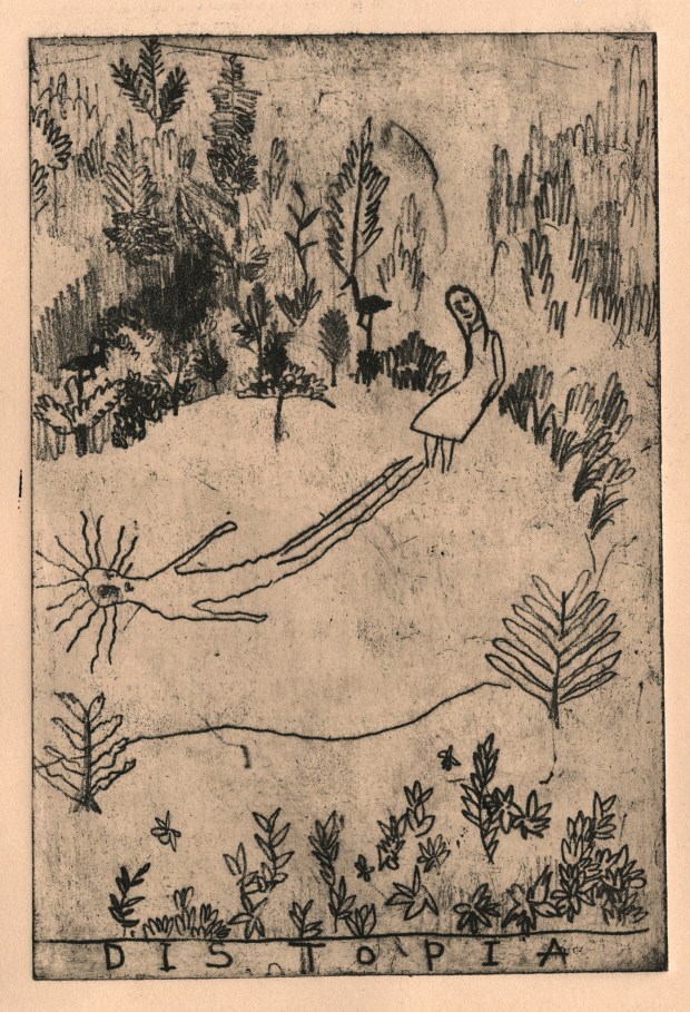 The Dystopia