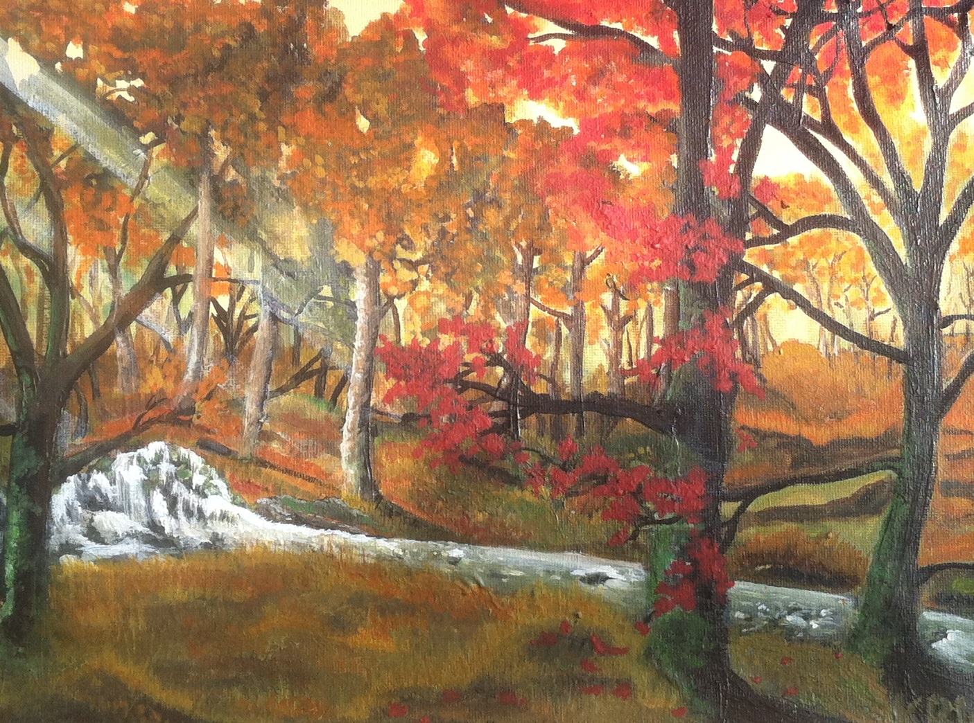 meggs complete 5 reserved (1)