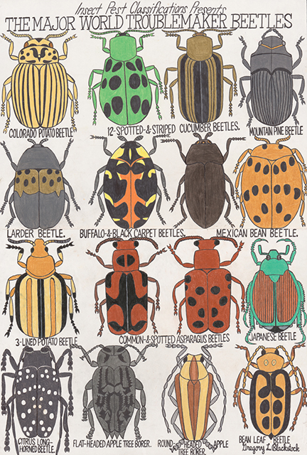 blackstock_the-majorworld-troublemakerbeetles-thanks-raw-vision